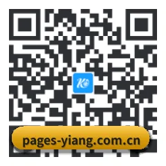 系统版 iOS 二维码